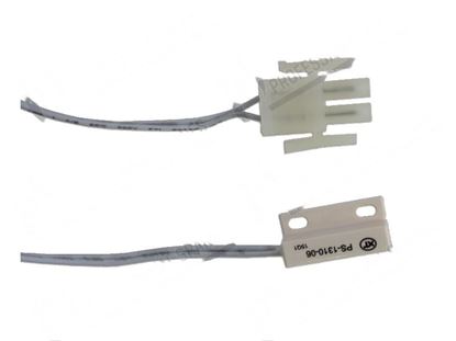 Picture of Magnetic microswitch for Scotsman Part# 1100056306