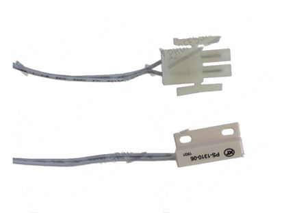 Foto de Magnetic microswitch for Scotsman Part# 1100056306