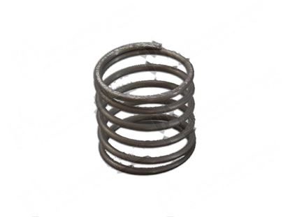 Obrázek Compression springs  23xh22 mm for Hobart Part# 00119229000, 00-119229-000, 119229