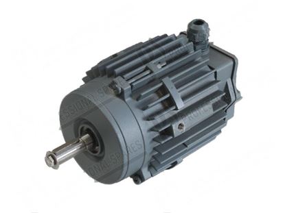 Изображение Motor 3 phase 180W 240/415V 1,2/0,7A for Hobart Part# 00145075006, 00-145075-006, 1450756, 145075-6