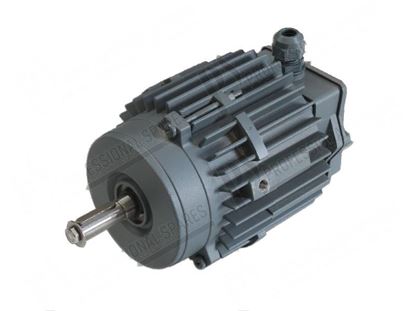 Immagine di Motor 3 phase 180W 240/415V 1,2/0,7A for Hobart Part# 00145075006, 00-145075-006, 1450756, 145075-6