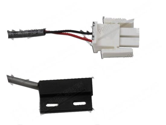 Immagine di Magnetic microswitch for Hobart Part# 0047310900004, 00-473109-00004, 4731094, 473109-4