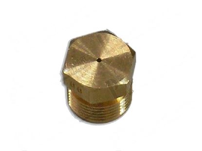 Image de Gas nozzle M13  0,88 mm for Tecnoinox Part# 00552, RC00552000