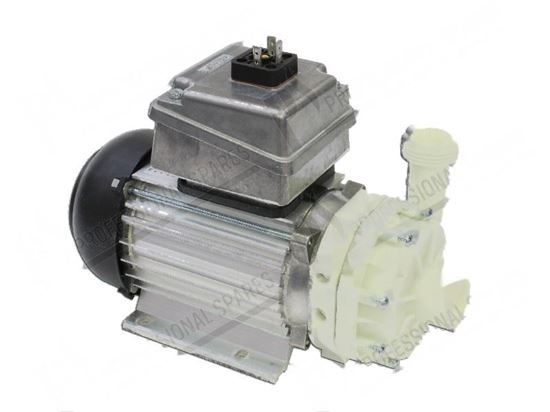 Image sur Rinse pump 1 phase 240W 220-240V 50Hz 1A for Hobart Part# 00781237010, 00-781237-010, 78123710, 781237-10