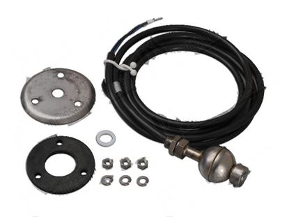 Image de Floating level switch for Hobart Part# 00-784845-001, 7848451, 784845-1, ML74969