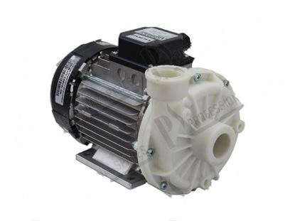Immagine di Rinse pump 3 phases 550W 220/380V 1,7A 50Hz for Hobart Part# 00897662002, 00-897662-002, 8976622, 897662-2