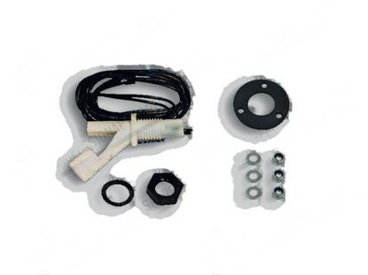 Image de Floating level switch  18x52 mm [Kit] for Meiko Part# 0130028, 9005977, 9526211, ME9526211
