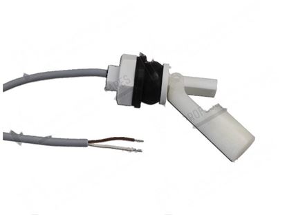 Image de Floating level switch  16,5x52 mm for Hobart Part# 01511207001, 01-511207-001, 015112071, 01-511207-1