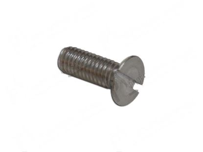 Obrázek Screw TSP M4x6 mm INOX for Meiko Part# 0306005, 0306006, 0306115, K0306115