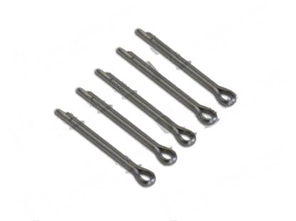 Obrázek Cotter pin  2x25 mm INOX (5 pcs) for Meiko Part# 0351002, 0351004, MEK0351004