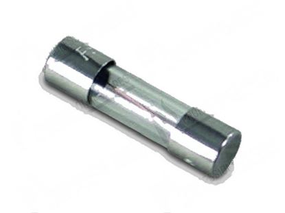 Bild von Fuse  5x20 mm 6,3A 250V fast for Zanussi, Electrolux Part# 058871, 083499