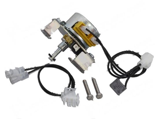 Immagine di Gearmotor 6W 230V 50/60 Hz [kit] for Zanussi, Electrolux Part# 0C0883
0C5501
0C8692