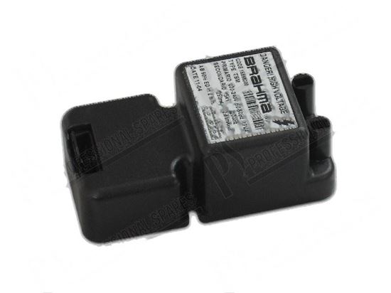 Igniter unit 2 ways 250mA for Zanussi Electrolux Part 0C4105