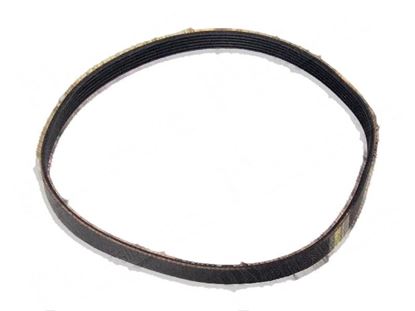 Bild på Belt PV L 610 mm for Zanussi, Electrolux Part# 0D1669, 22889