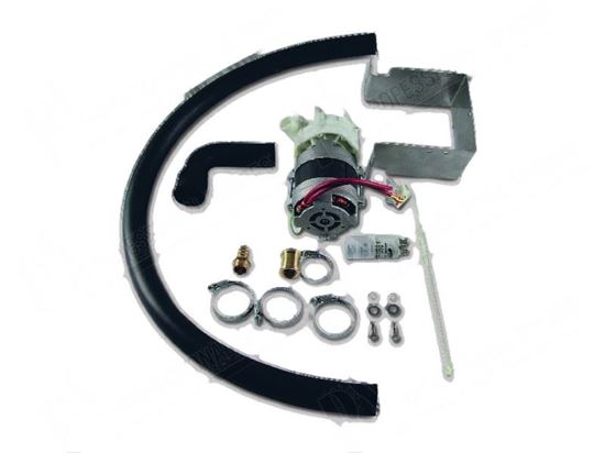 Immagine di Replacement of Hanning CP50 Kit pump for Zanussi, Electrolux Part# 0E2746, 0K8343, 0L0149, 482509300