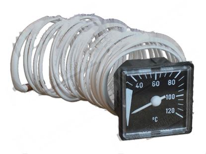 Image de Thermometer 0 ·120Â°C 48x48 mm for Zanussi, Electrolux Part# 0E5675