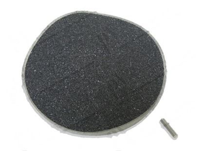 Afbeeldingen van Abrasive plate for veg. PL4/8-CD4/8 for Zanussi, Electrolux Part# 0HD038, 20599