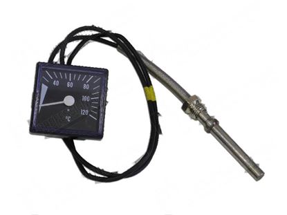 Image de Thermometer 0 ·120Â°C 48x48 mm for Zanussi, Electrolux Part# 0K7786