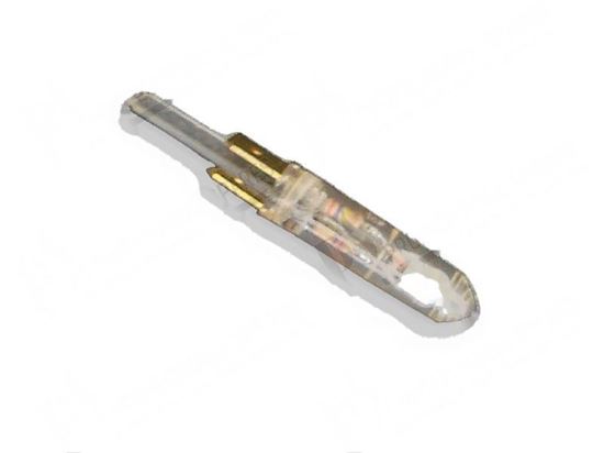 Green flourescent pilot lamp 9 mm - 400-440V for Zanussi 