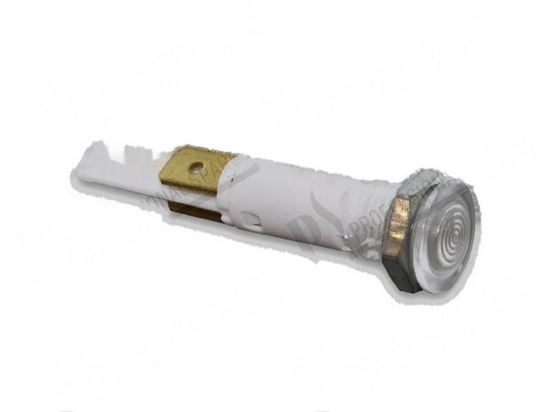 Immagine di White pilot lamp  10 mm 230V for Zanussi, Electrolux Part# 0KL449