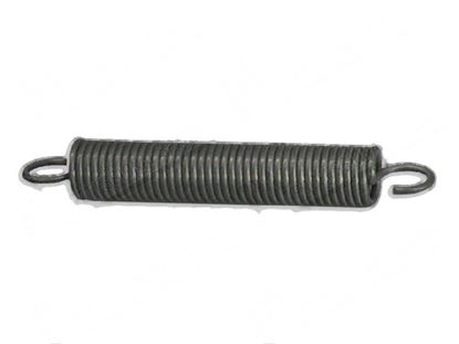 Picture of Tension springs  20x100xLtot138 mm for Dihr/Kromo Part# 10700, DW10700