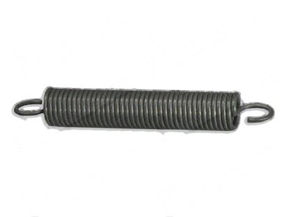 Bild på Tension springs  20x100xLtot138 mm for Dihr/Kromo Part# 10700, DW10700