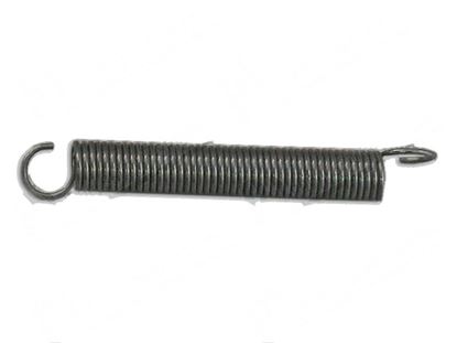 Picture of Tension spring  20x100xLtot139 mm for Dihr/Kromo Part# 10700/A DW10700/A