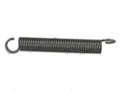 Obrázek Tension spring  20x100xLtot139 mm for Dihr/Kromo Part# 10700/A DW10700/A