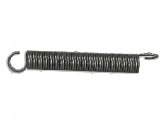 Picture of Tension spring  20x100xLtot139 mm for Dihr/Kromo Part# 10700/A DW10700/A