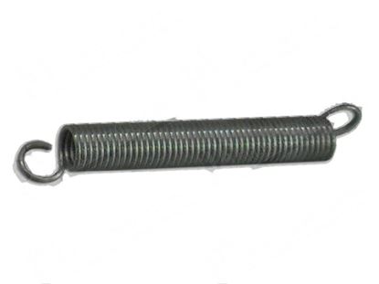 Bild på Tension springs  18x105xLtot140 mm for Dihr/Kromo Part# 10700/B DW10700/B