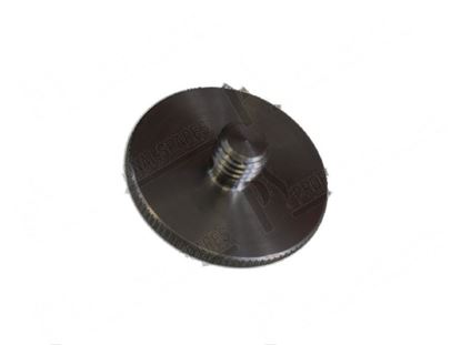 Image de Knurled head screw  30 mm - M8x8 mm INOX for Dihr/Kromo Part# 11101/I DW11101/I