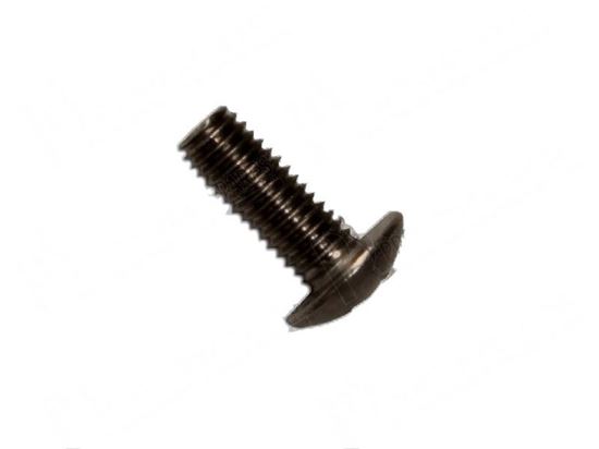 Immagine di Flat-headed bolts INOX for Dihr/Kromo Part# 11111, DW11111