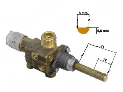 Immagine di Valved gas tap CPMM 18700/821 for Fagor Part# 11R9021020 12003724 12038522 R902102000