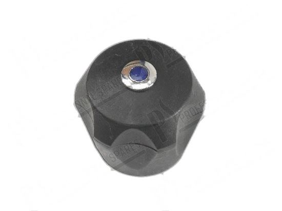 Image sur Black knob bleu symbol for Fagor Part# 12009120 S102109000