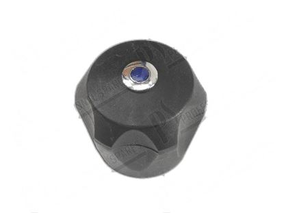 Picture of Black knob bleu symbol for Fagor Part# 12009120 S102109000