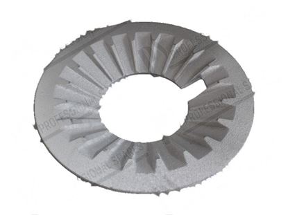Picture of Cast plate cast iron  260 mm for Fagor Part# 12009347, U195420000