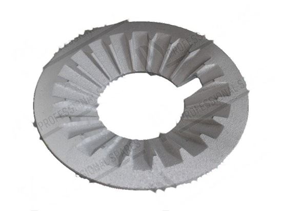 Bild von Cast plate cast iron  260 mm for Fagor Part# 12009347, U195420000
