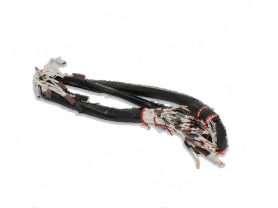Image sur Resistance wiring for Fagor Part# 12009444, T703010000