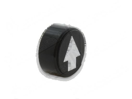 Изображение Button  23 mm for Fagor Part# 12009956 X022106000