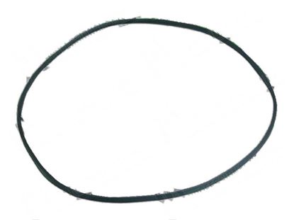 Picture of V-ribbed belt L=1600x18,8x3,5mm for Fagor Part# 12023269,P625903000