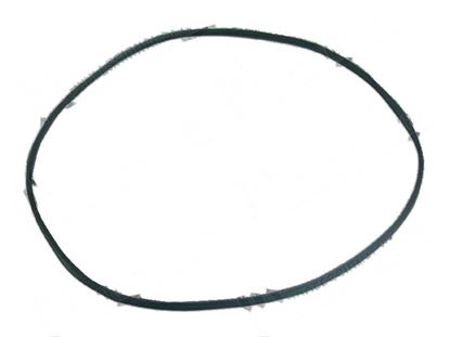 Foto de V-ribbed belt L=1600x18,8x3,5mm for Fagor Part# 12023269,P625903000