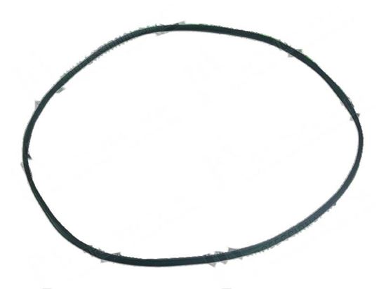 Obrázek z V-ribbed belt L=1600x18,8x3,5mm for Fagor Part# 12023269,P625903000 