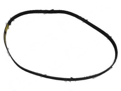 Изображение V-ribbed belt L=1300x3,7x18,9 mm for Fagor Part# 12023273,P615902000