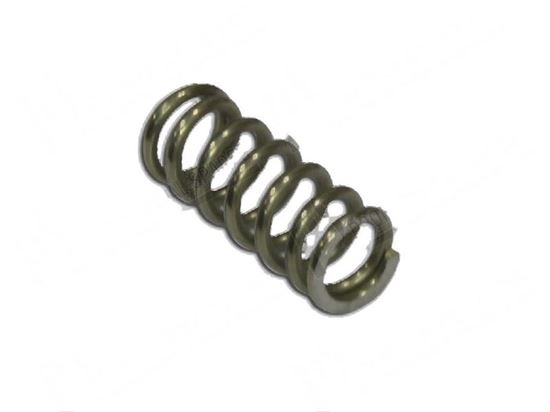 Afbeelding van Compression springs  5,5x8 mm L=20 mm for Fagor Part# 12024164 T130506000