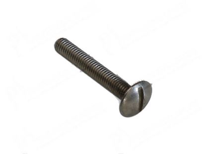 Image de Raised countersunk head screws M6x25 mm for Granuldisk Part# 12190, 22777