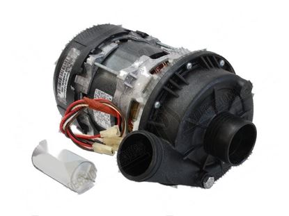Picture of Wash pump 1 phase 850W 200/230V 3,8A for Elettrobar/Colged Part# 130126, REB130126
