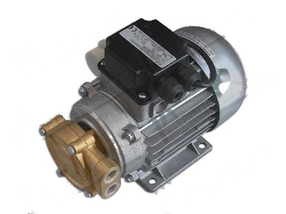 Obrázek Rinse pump 150W 1P 230V 1,5A 50Hz for Dihr/Kromo Part# 15100, DW15100