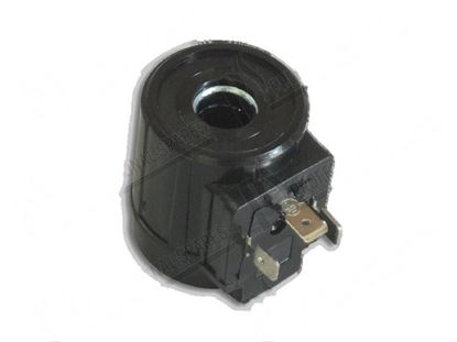 Image de Coil for rinse aid dispenser 339699 for Elettrobar/Colged Part# 201002, REB201002