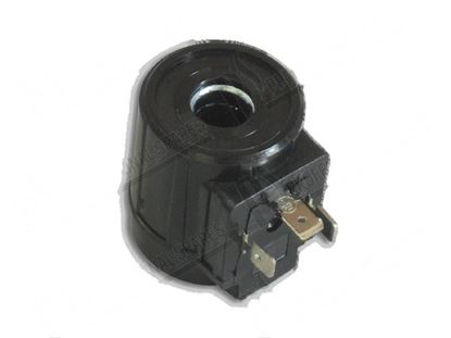 Immagine di Coil for rinse aid dispenser 339699 for Elettrobar/Colged Part# 201002, REB201002