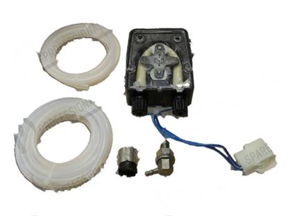 Изображение Detergent peristaltic pump fixed capacity (internal use) for Elettrobar/Colged Part# 209013, REB209013
